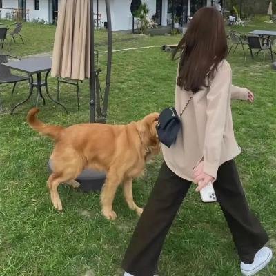 小胖的春天